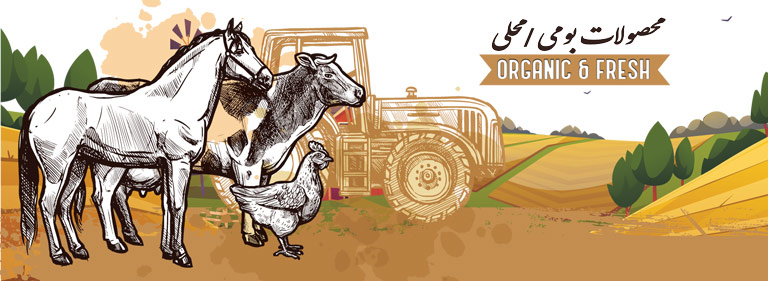 محصولات بومی محلی