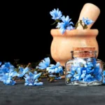 عرق کاسنی ژیک