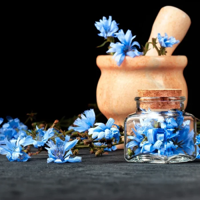 عرق کاسنی ژیک