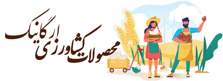 الوسلام